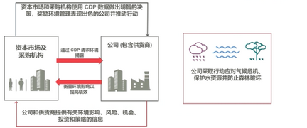 Leverage供应链深度解析CDP碳披露与企业和投资者之间的厉害关系, 积极助力实现“双碳”发展 Leverage供应链深度解析CDP碳披露与企业和投资者之间的厉害关系, 积极助力实现“双碳”发展