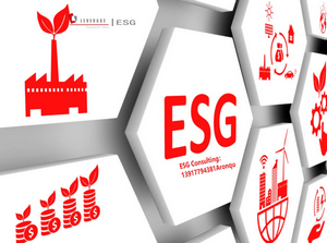 leverage供应链厘清ESG脉络,还原ESG的前世与今生 leverage供应链厘清ESG脉络,还原ESG的前世与今生