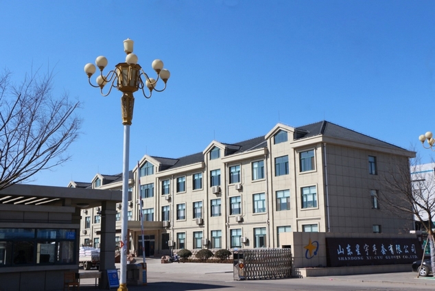 Leverage助力中国领先安全防护手套供应商——山东星宇:推动安全防护手套行业可持续发展 Leverage助力中国领先安全防护手套供应商——山东星宇:推动安全防护手套行业可持续发展