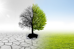 迈向绿色未来:Leverage助力企业实现科学碳目标,共筑可持续发展之路 迈向绿色未来:Leverage助力企业实现科学碳目标,共筑可持续发展之路