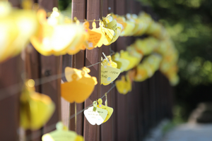 双重重要性评估:企业可持续发展的核心框架 双重重要性评估:企业可持续发展的核心框架