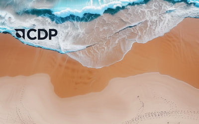 2025年CDP披露周期：关键日期与实践指南