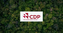 解锁绿色转型的关键:Leverage助力上海臻臣迈向绿色未来,开启绿色征程 解锁绿色转型的关键:Leverage助力上海臻臣迈向绿色未来,开启绿色征程