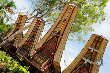 Leverage获批印度尼西亚SA8000资质,助力中国企业出海 Leverage获批印度尼西亚SA8000资质,助力中国企业出海