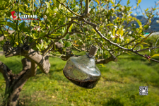 可持续采购的未来:ISO 20400如何重塑企业ESG战略 可持续采购的未来:ISO 20400如何重塑企业ESG战略