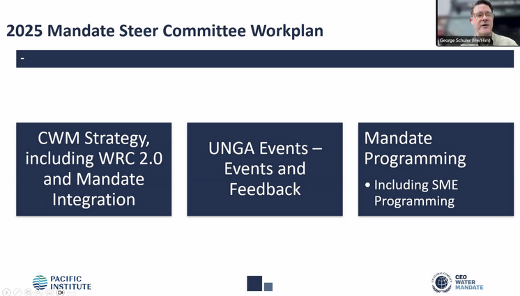 Leverage受邀参加UN CEO Water Mandate网络研讨会：深化全球水资源管理承诺