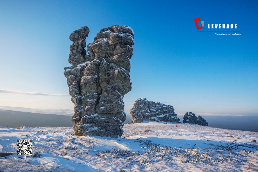 光伏领军企业的碳排放管理突破：Leverage助力开启绿色新征程