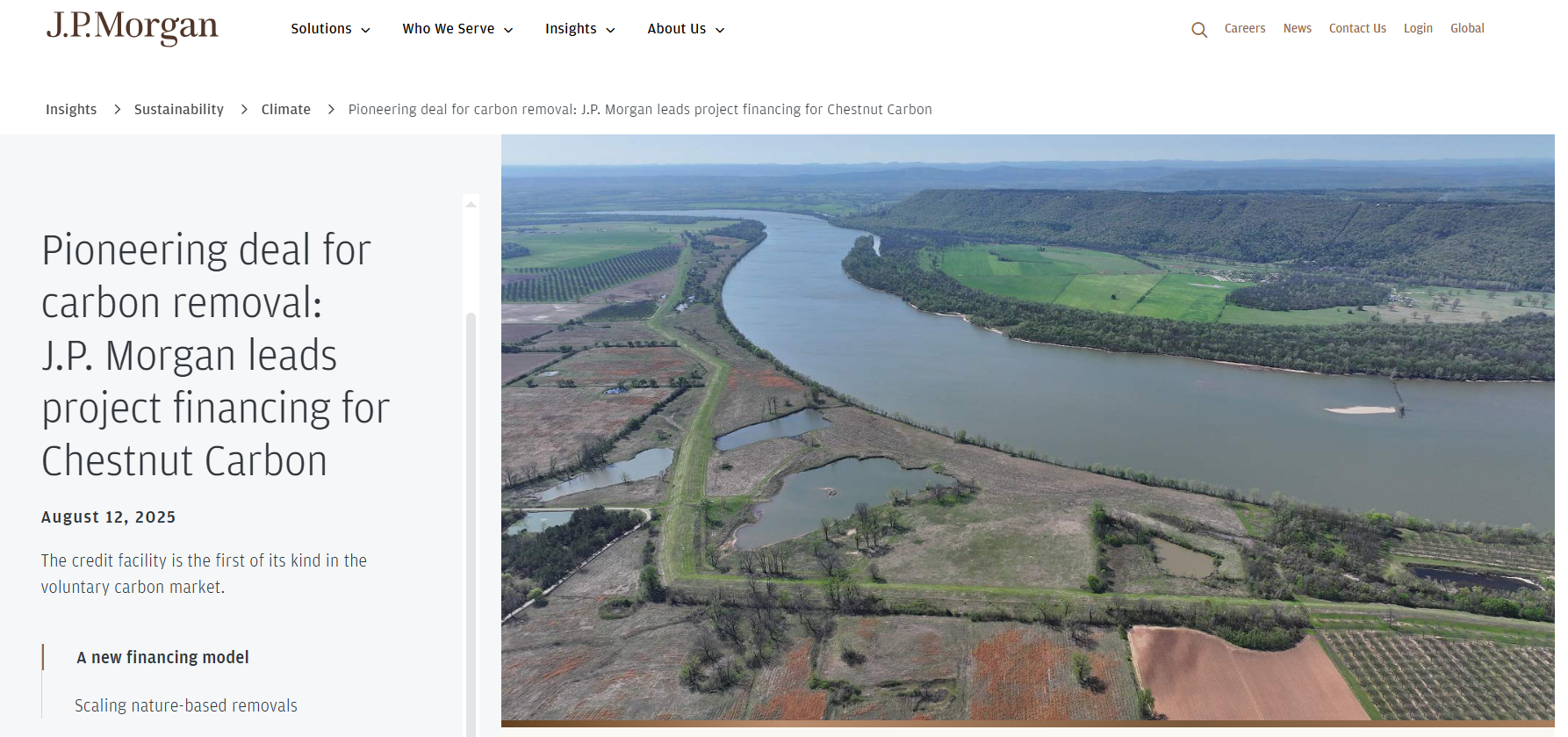 摩根大通2.1亿美元押注造林项目，自愿碳市场迎来“破局”信号，全球碳减排迎来新机遇