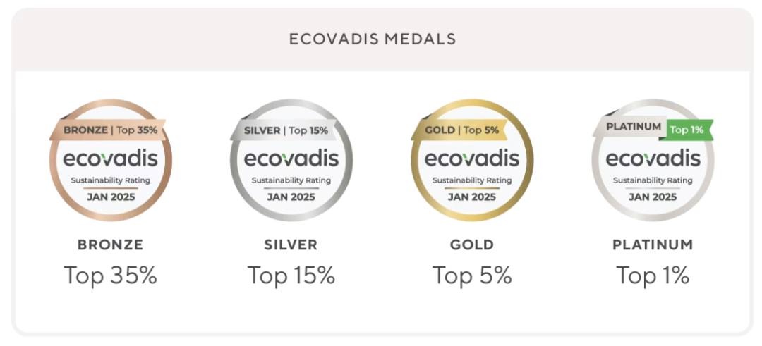 Leverage荣膺EcoVadis认可的核心咨询合作伙伴：专业赋能企业可持续发展