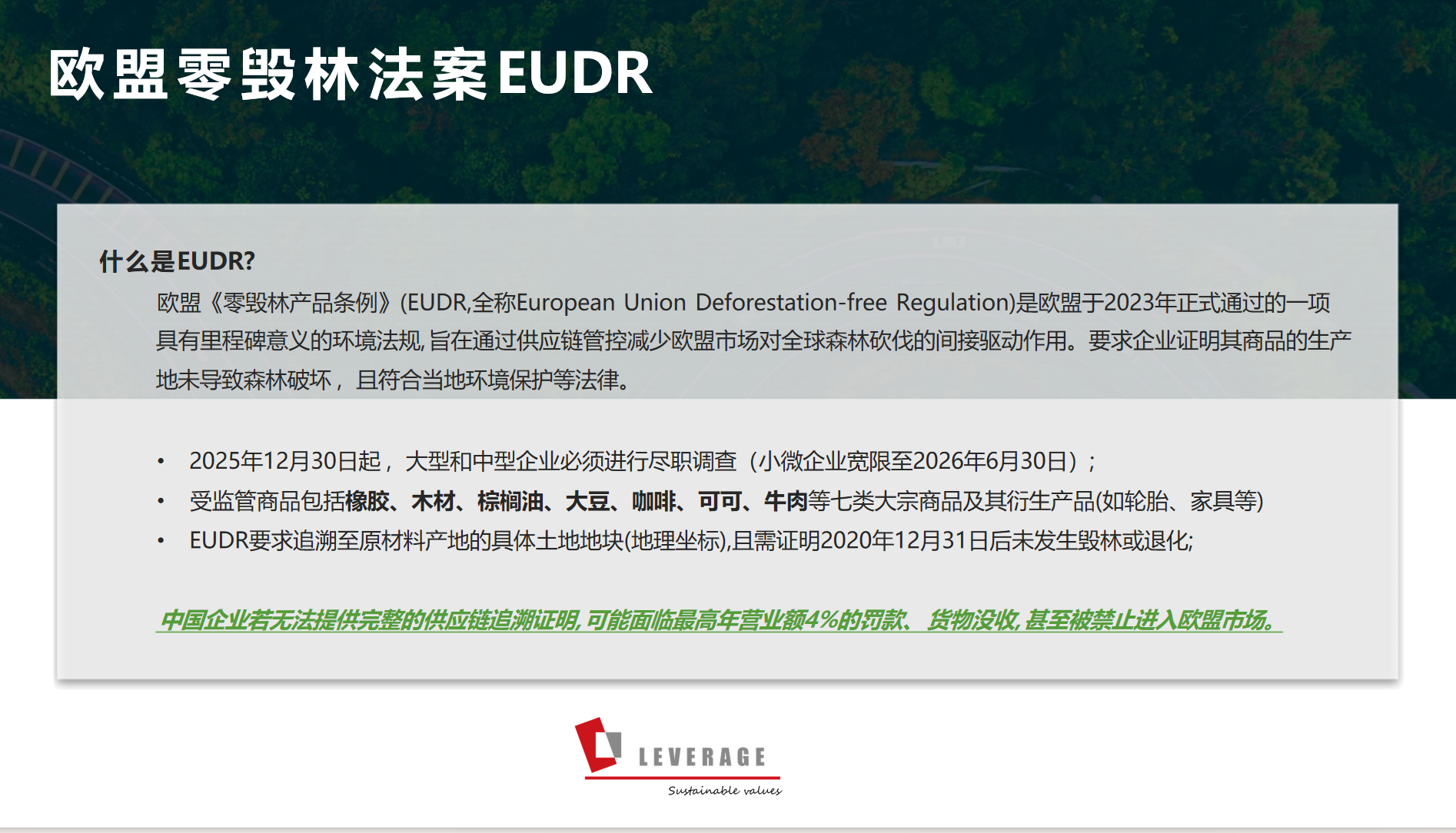 强强联合：绿维易新与Leverage签署战略协议，共筑可持续供应链合规新生态