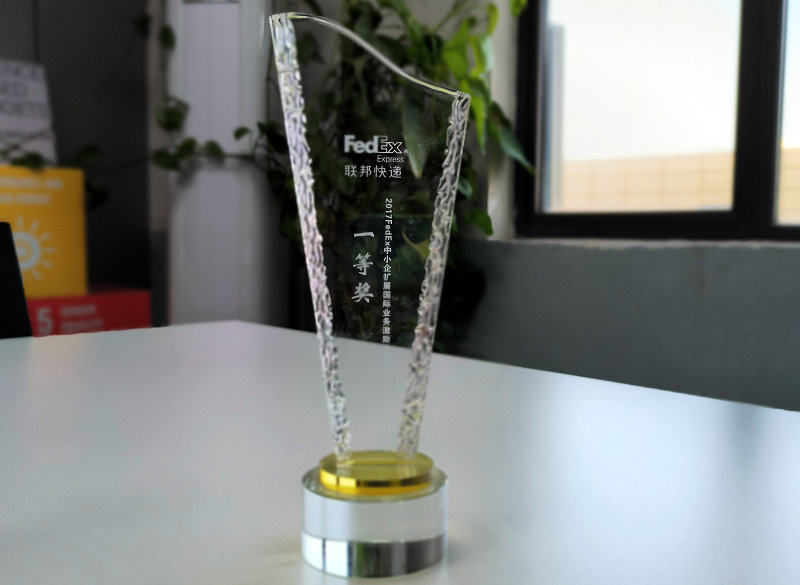 联邦快递中小企扩展国际业务激励计划一等奖