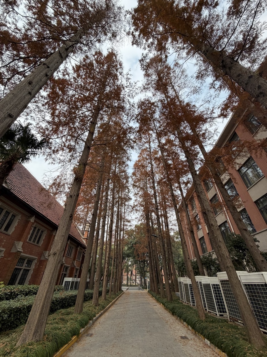 微信图片_20251226091856_191_24 (复制) (复制) (复制).jpg