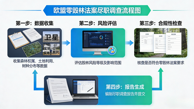 未命名的设计11 (复制) (复制).png