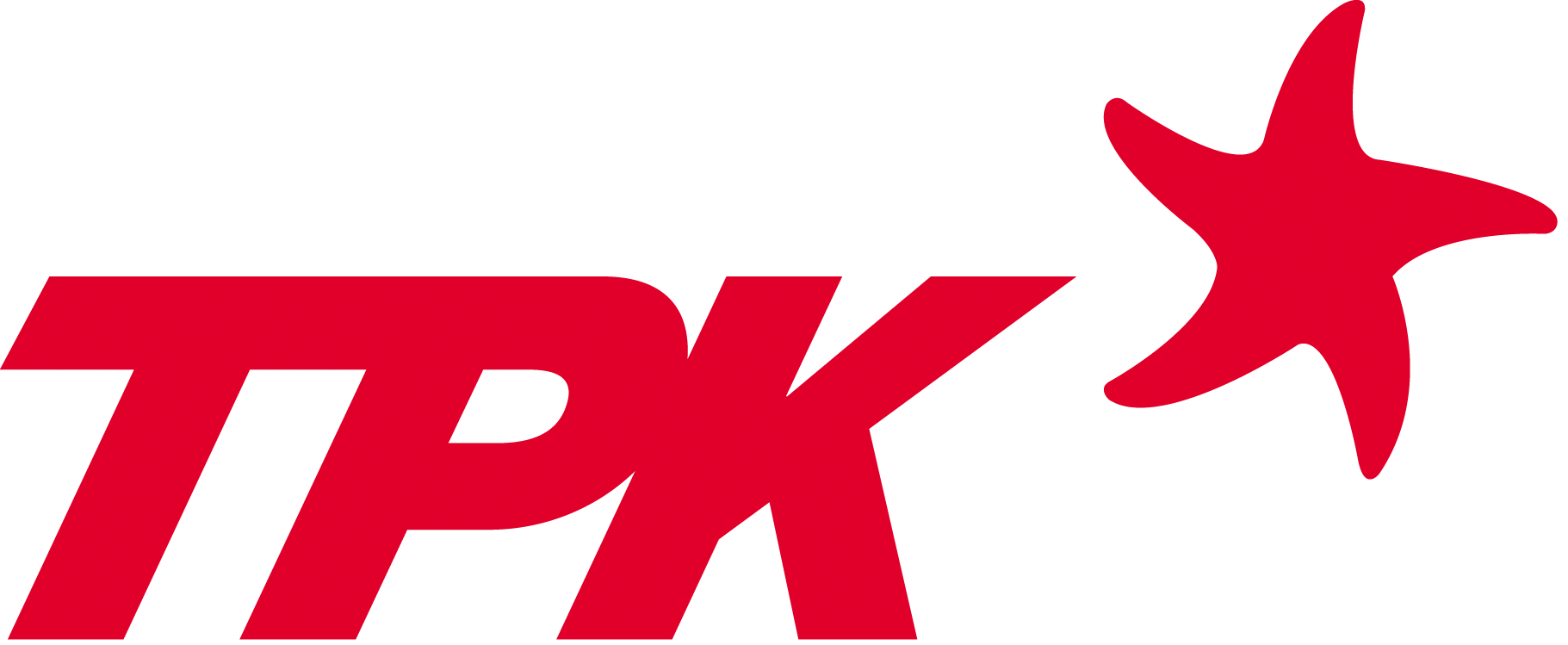宸鸿科技（厦门）有限公司 (TPK)