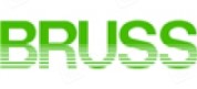 勃乐氏密封系统（太仓）有限公司 (BRUSS)