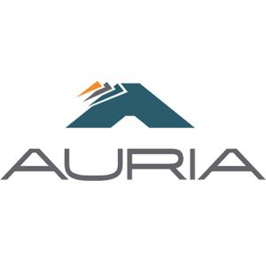 傲锐汽车部件（常州）有限公司 (Auria)