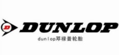住友橡胶（中国）有限公司 (Dunlop)