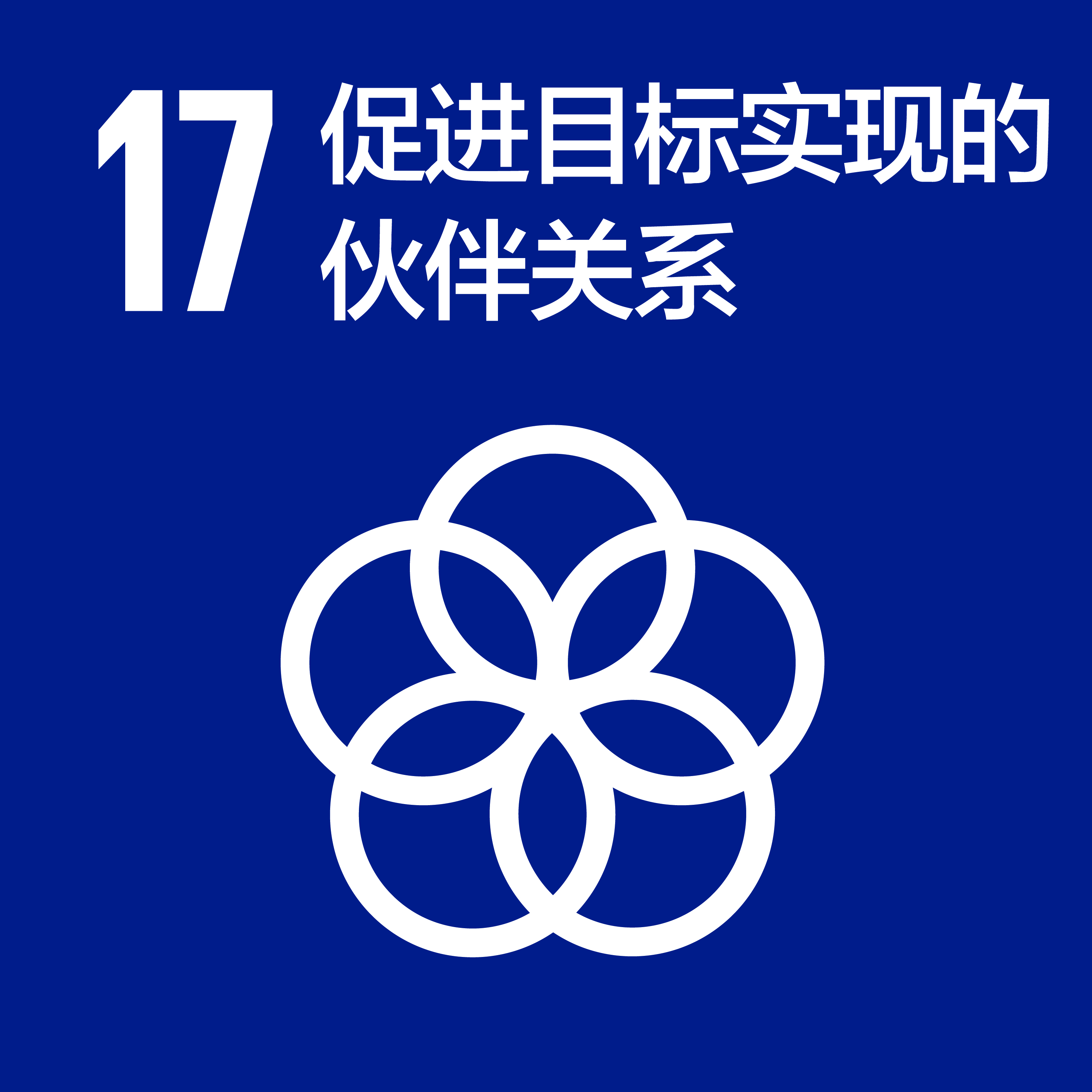 促进目标实现的伙伴关系
